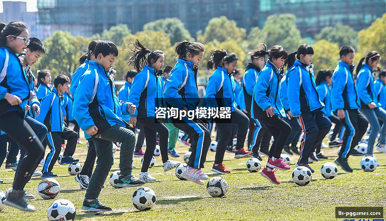 咨询pg模拟器